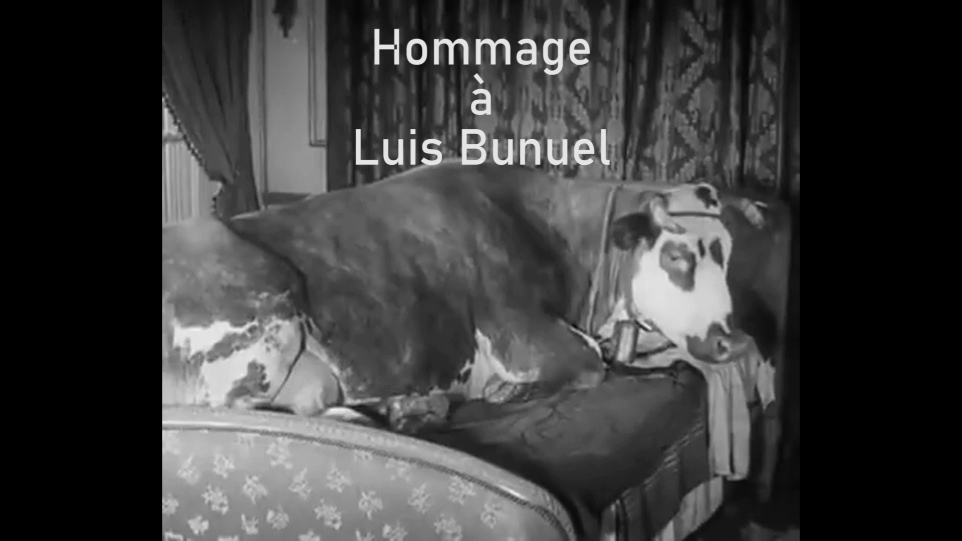 Hommage aan Luis Bunuel op Youtube